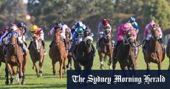 Race-by-race tips and preview for Armidale on Sunday