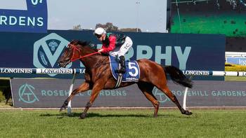 Race day preview, best bets and inside mail for Wyong