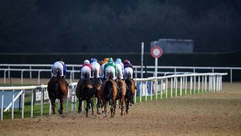 Race of the Day: Alice Haynes sprinter could continue to improve at Wolverhampton