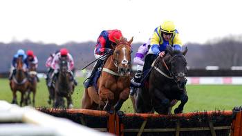 Race of the Day on Sky Sports Racing: Okavango Delta can get off the mark in competitive Doncaster handicap hurdle