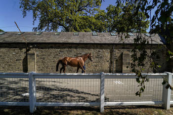 Racehorse grooms get a seat in the sport of kings’ throne room