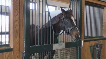 Racehorse Tiznow calls WinStar Farm home