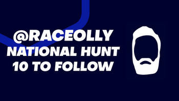 Raceolly's Ten To Follow For 2023/24 National Hunt Season