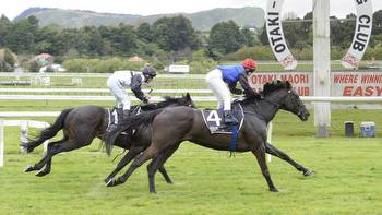 Racing: Bay owner gets giant thrill out of Otaki maiden win