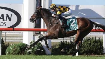 Racing: Different paths to Queensland Derby for top New Zealand horses
