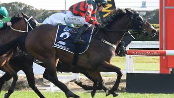 Racing: Dragon Leap claims back-to-back wins