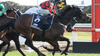 Racing: Dragon Leap the best each way chance in the Tarzino Trophy at Hastings