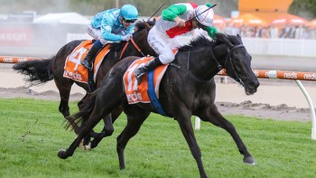 Racing: First day of spring has Kiwi punters looking westward to Australia