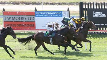 Racing: Former Australian mare Letzbeglam tipped to beat the best