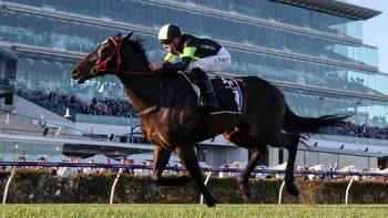 Racing futures tips: Suggested $100 spend across four Melbourne Group 1 races