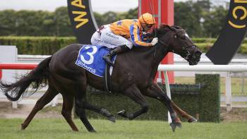 Racing: Hard task to gauge Kiwi chances