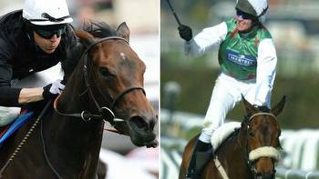 Racing in mourning after death of legendary racehorses Monty's Pass and Ouija Board just days apart