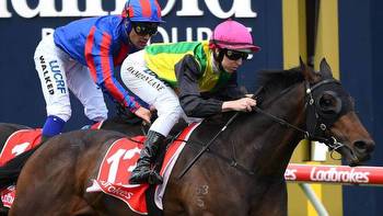 Racing: Kiwi-breds rate highly in this year's quiet Melbourne Cup
