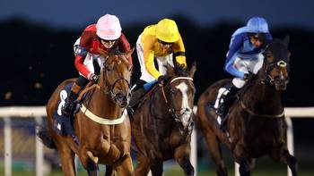 Racing League: Kate Tracey nominates her five to follow for Thursday's action at Newcastle