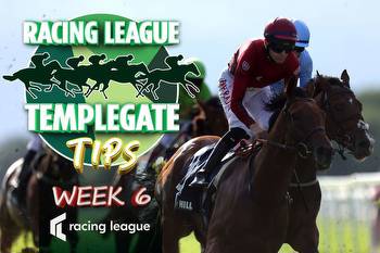 Racing League tips: Templegate picks for EVERY race as £2m winner-take-all series reaches blockbuster final at Newcastle