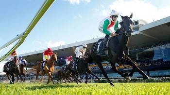 Racing: New Zealand horses Aegon and Probabeel produce golden hour in Australia