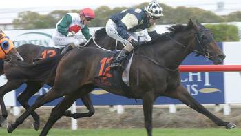 Racing: One last major twist for New Zealand Derby Day at Ellerslie