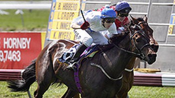 Racing: One-win mare to defy odds