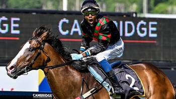 Racing: Star-studded show at Matamata as top horses return to action