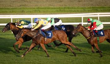 RACING: Tipperary winners galore all across the past week