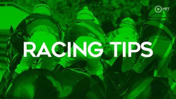 Racing tips: Brave Knight looks like a typical Sir Mark Prescott handicapping improver