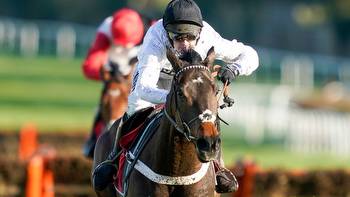 Racing tips for Ascot and Haydock as Constitution Hill, A Plus Tard and Edwardstone returns