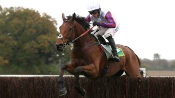Racing tips for the Long Walk Hurdle, King George VI Chase and Welsh Grand National