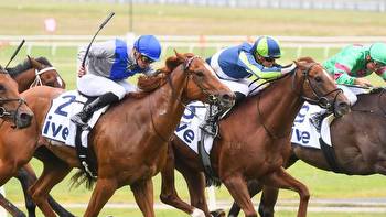 Racing Victoria open to whip reform after further crackdown by British racing
