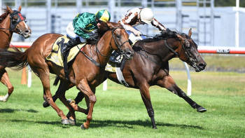 Railway Stakes (NZ) Tips: Trifecta & First Four