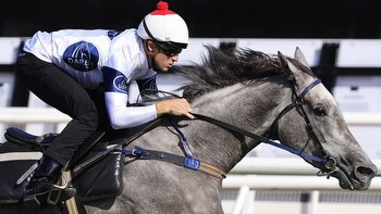 Randwick preview: Oaks on radar for Harmony Rose