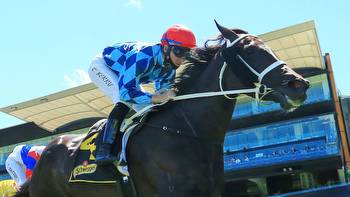 Randwick races: Shayne O’Cass’ tips and extended preview