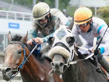 Randy Goulding: B.C. Cup highlights horse racing picks