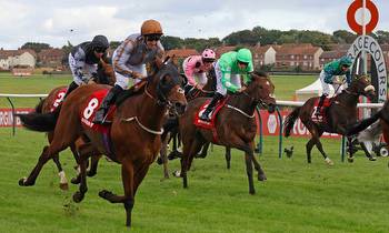 Ratings Update: Ayr Gold Cup form looks solid