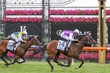 Razeta storms to impressive Flemington win