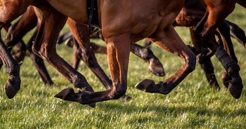 Real risk of televised daily Irish racing being available to everyone