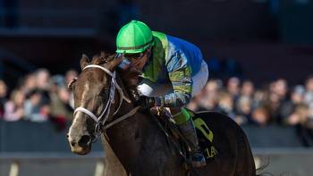 Rebel Stakes Predictions, Odds, Picks (Oaklawn Park)