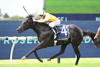 Red Resistance gives Prebble perfect start in Sydney