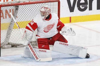 Red Wings vs. Hurricanes prediction: NHL odds, picks, bets