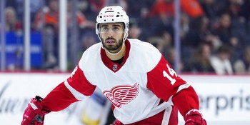 Red Wings vs. Panthers: Injury Report