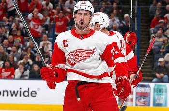 Red Wings vs Panthers Picks, Predictions & Odds Tonight