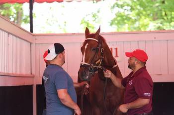 Reed Hopes for Good Showing From Rich Strike in Travers