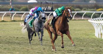 Regal Glory wins second straight victory in the Grade I, $401,500 Matriarch Stakes