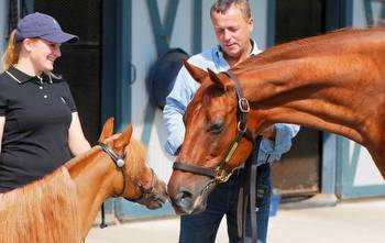 relive a visit to Funny Cide, still cranky but always adored by fans