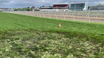 Repairs start on Flemington racetrack for Oaks day after alleged vandal attack