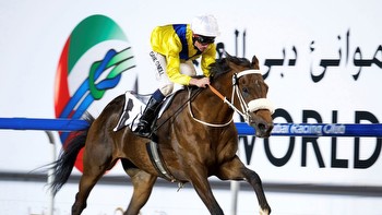 Review of the racing from Meydan and the Dubai Carnival