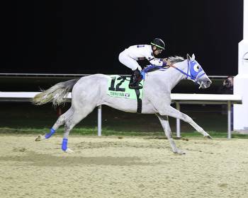 Ridden by Sonny Leon, Congruent wins Battaglia Memorial at Turfway; Botanical takes Cincy Trophy