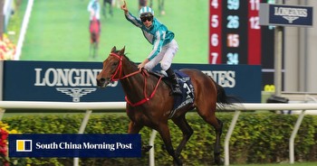 Riding a wave of Cox Plate glory, Romantic Warrior’s most important test of 2023 awaits