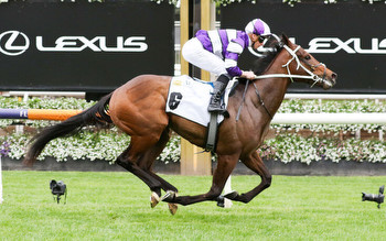 Riff Rocket short odds in the Victoria Derby at Flemington