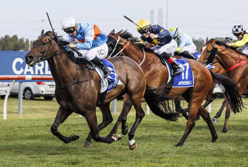 Riodini heads Tulloch Lodge team for Ingham Stakes