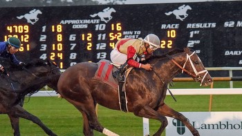 Rising and Falling Stars: The Dynamic Shifts on the Kentucky Derby Trail